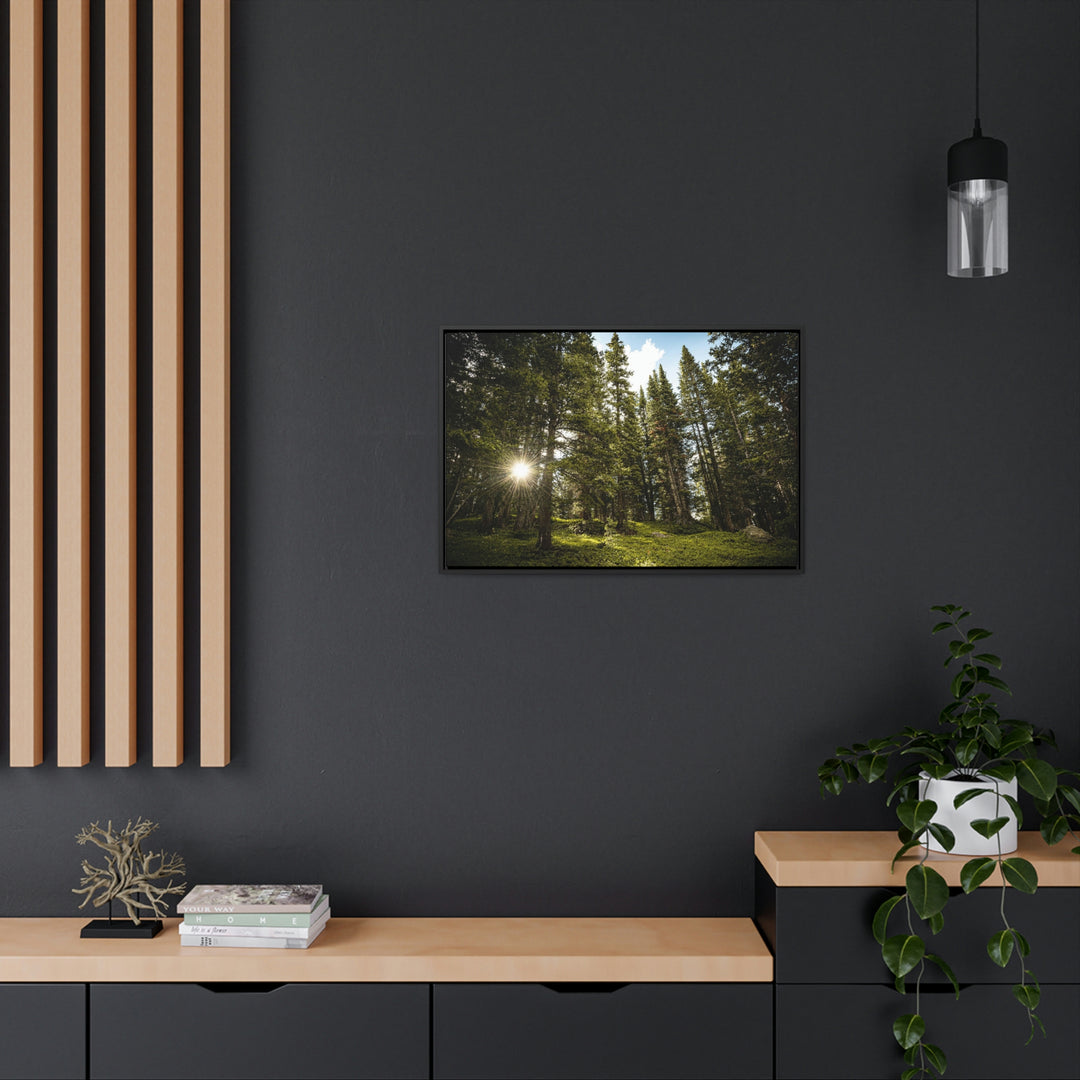 Forest Light - Canvas with Frame