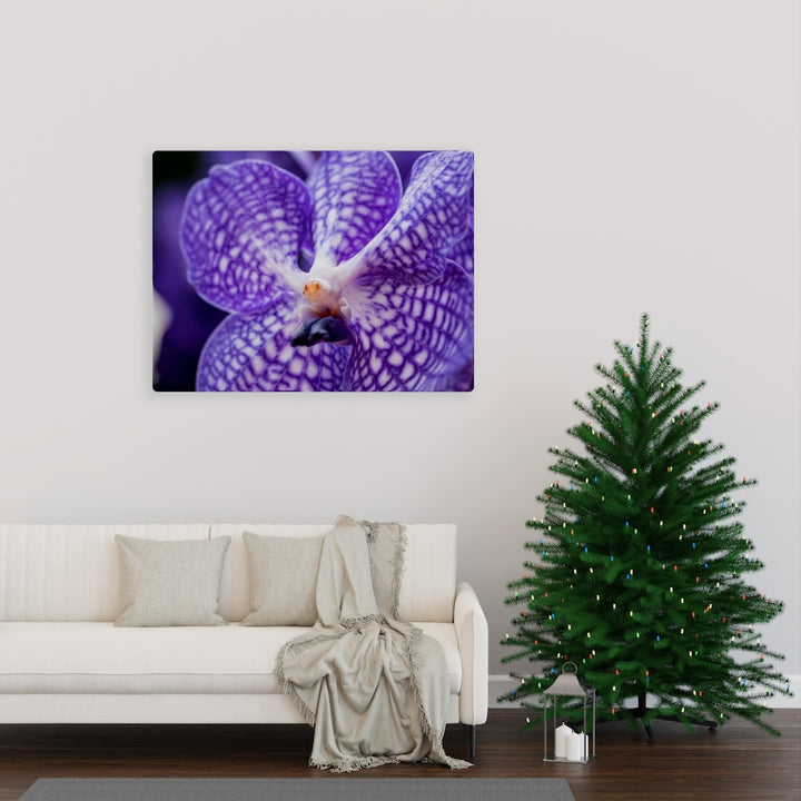 Orchid Detail - Canvas