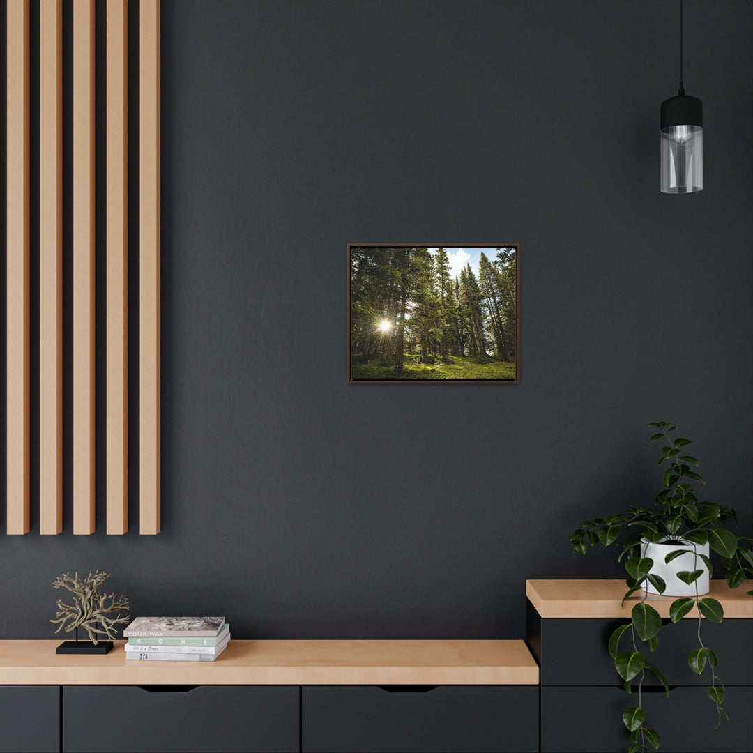 Forest Light - Canvas with Frame