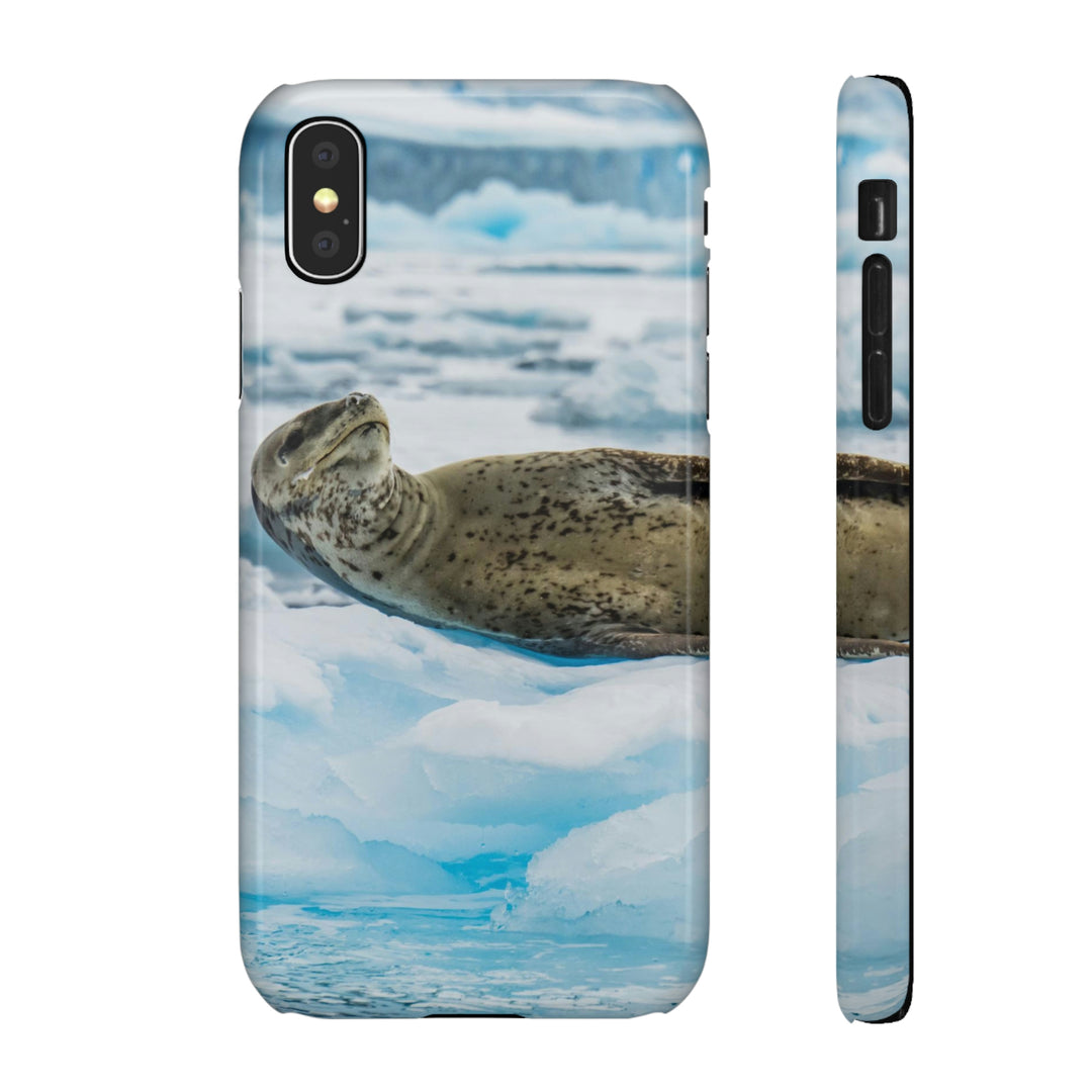 Leopard Seal Relaxing - Phone Case