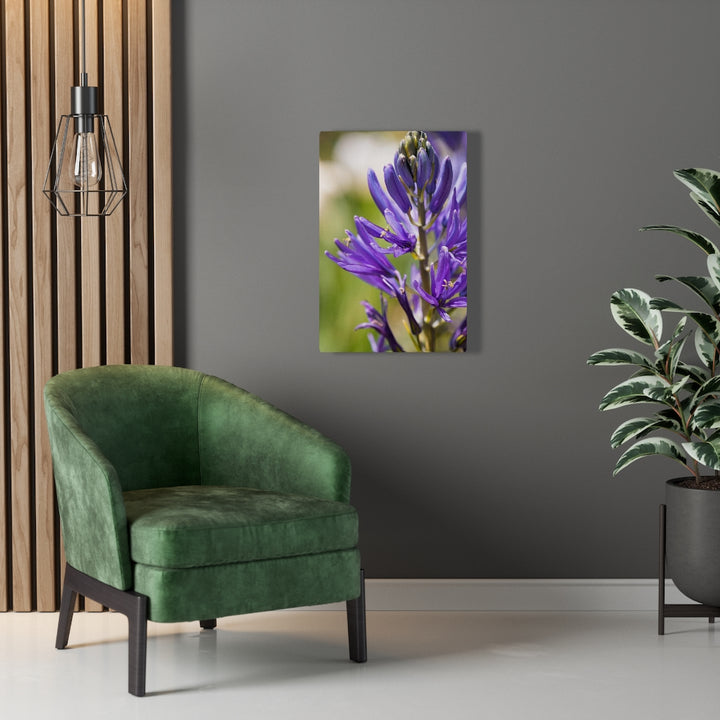 Camas in Bloom - Canvas