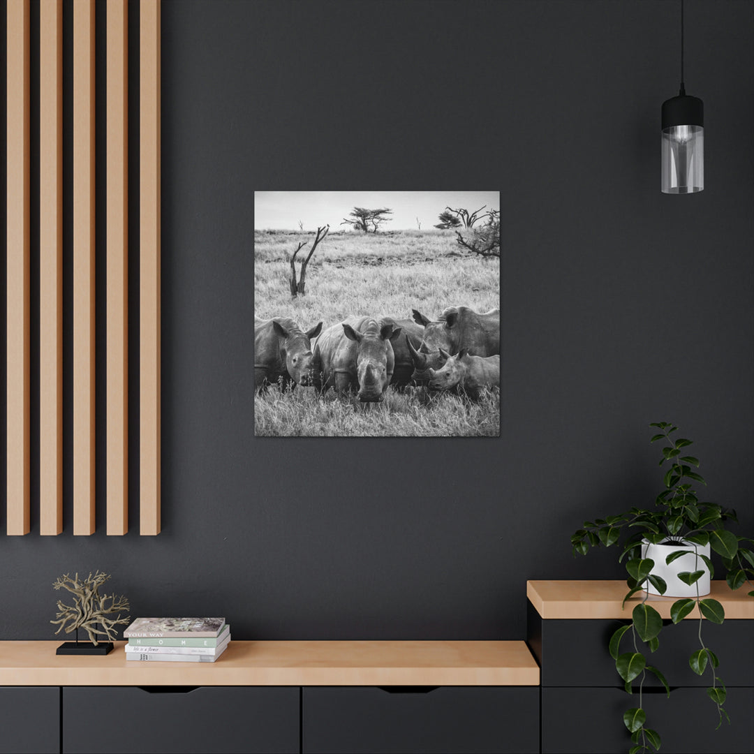 Rhino Family in Black and White - Canvas