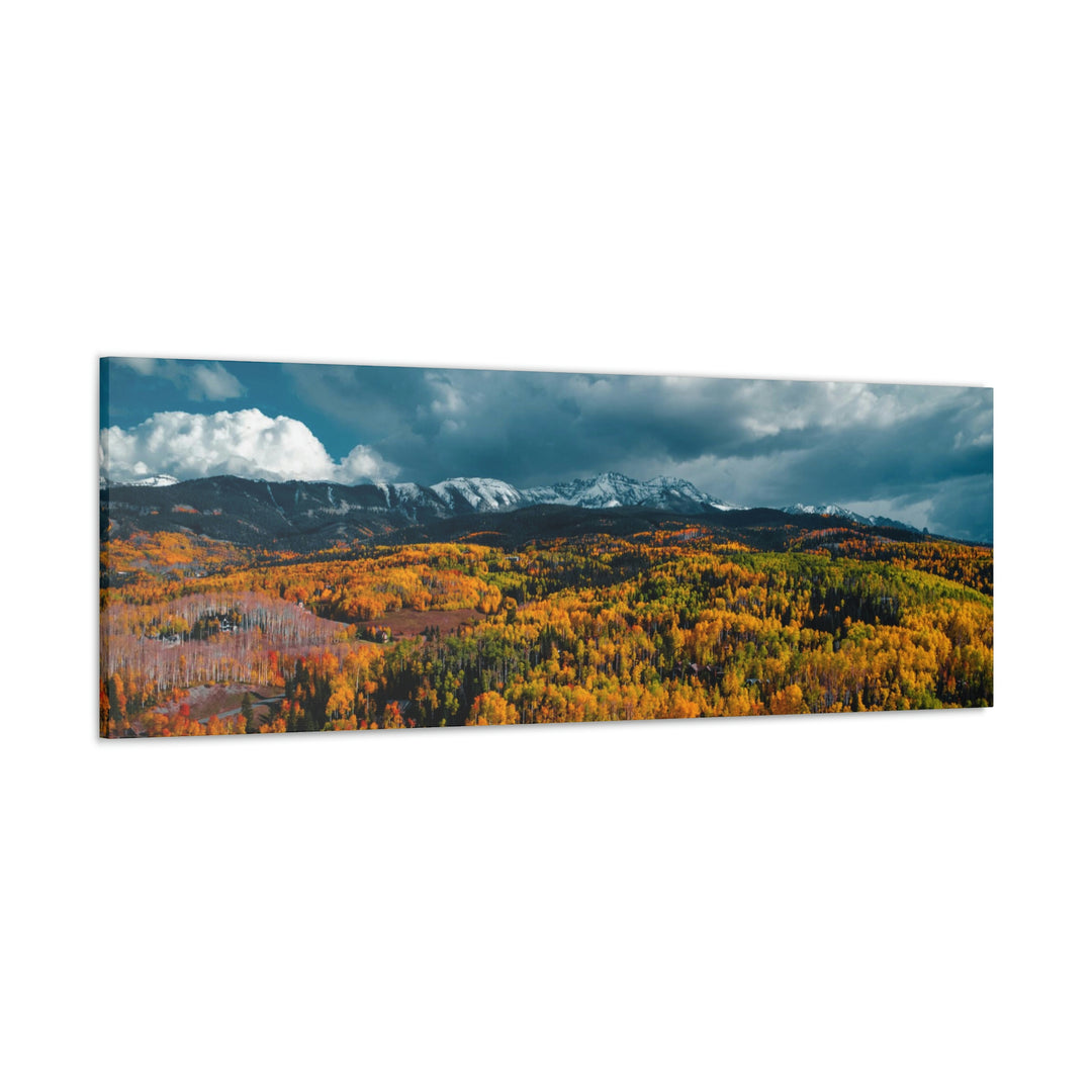 Golds of Autumn - Canvas