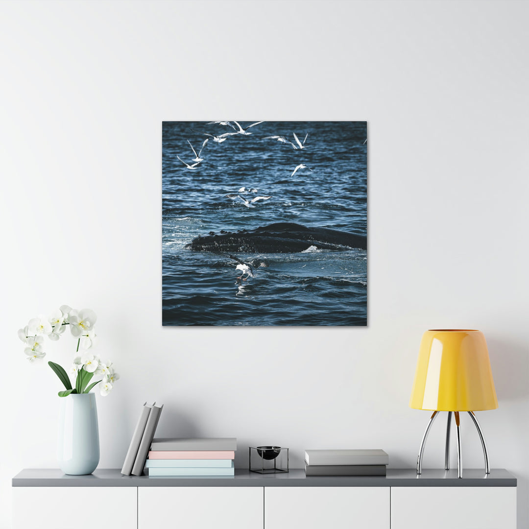 Humpback Hello - Canvas