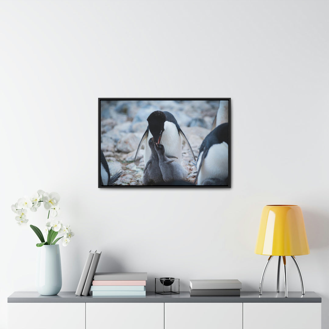 Feeding Time - Canvas with Frame