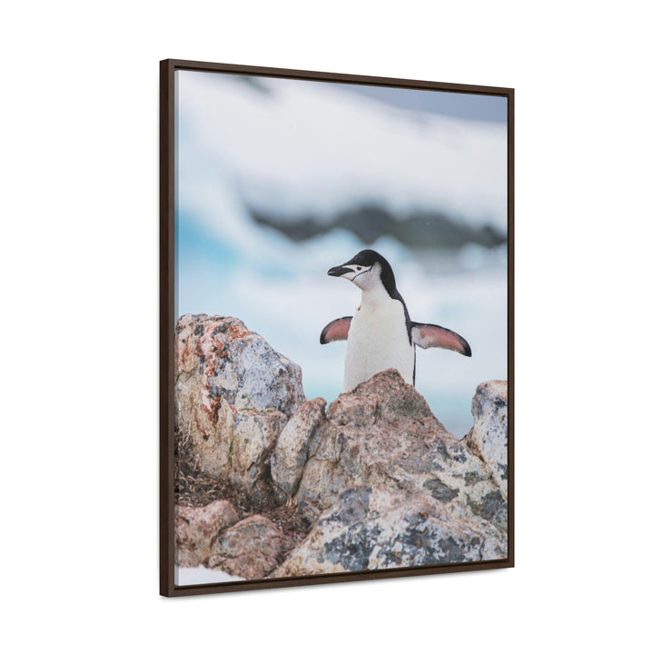 Stretched Penguin - Canvas with Frame