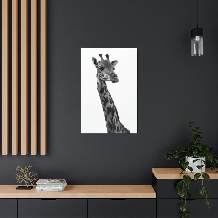 Giraffe Portrait in Black and White  - Canvas