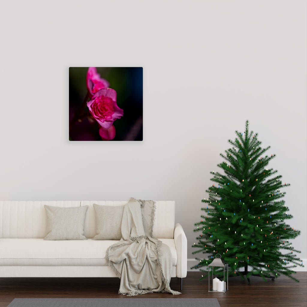 Hybrid Tea Lily - Canvas