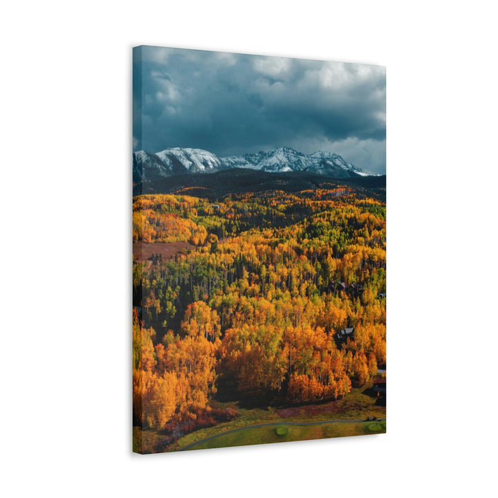 Golds of Autumn - Canvas