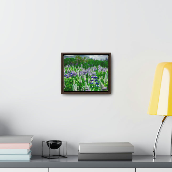 Glowing Lupin with Mountains - Canvas with Frame