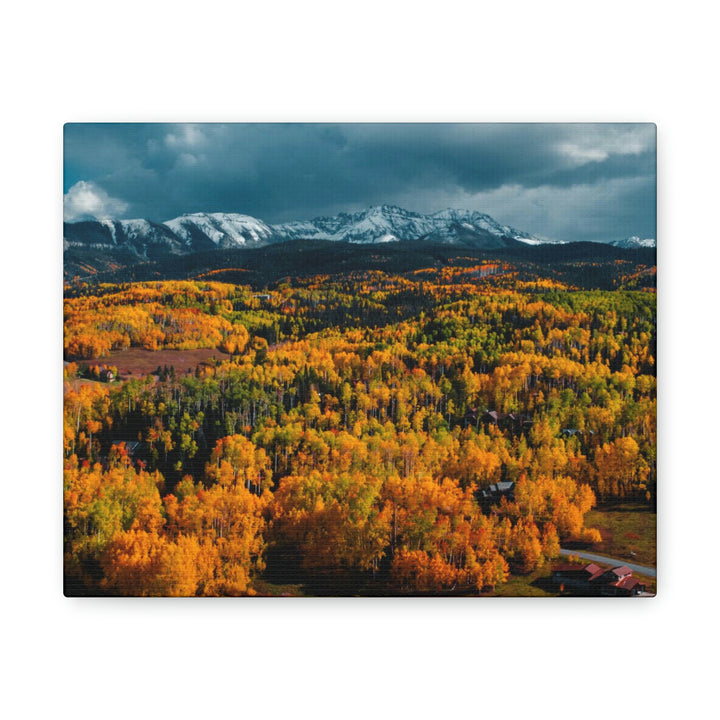 Golds of Autumn - Canvas