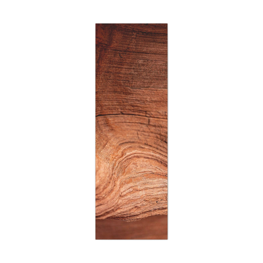 Sedimentary Rock Curves - Canvas