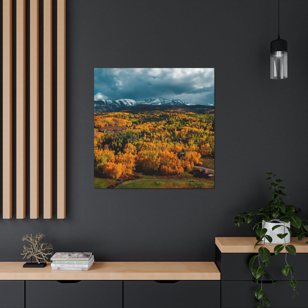 Golds of Autumn - Canvas