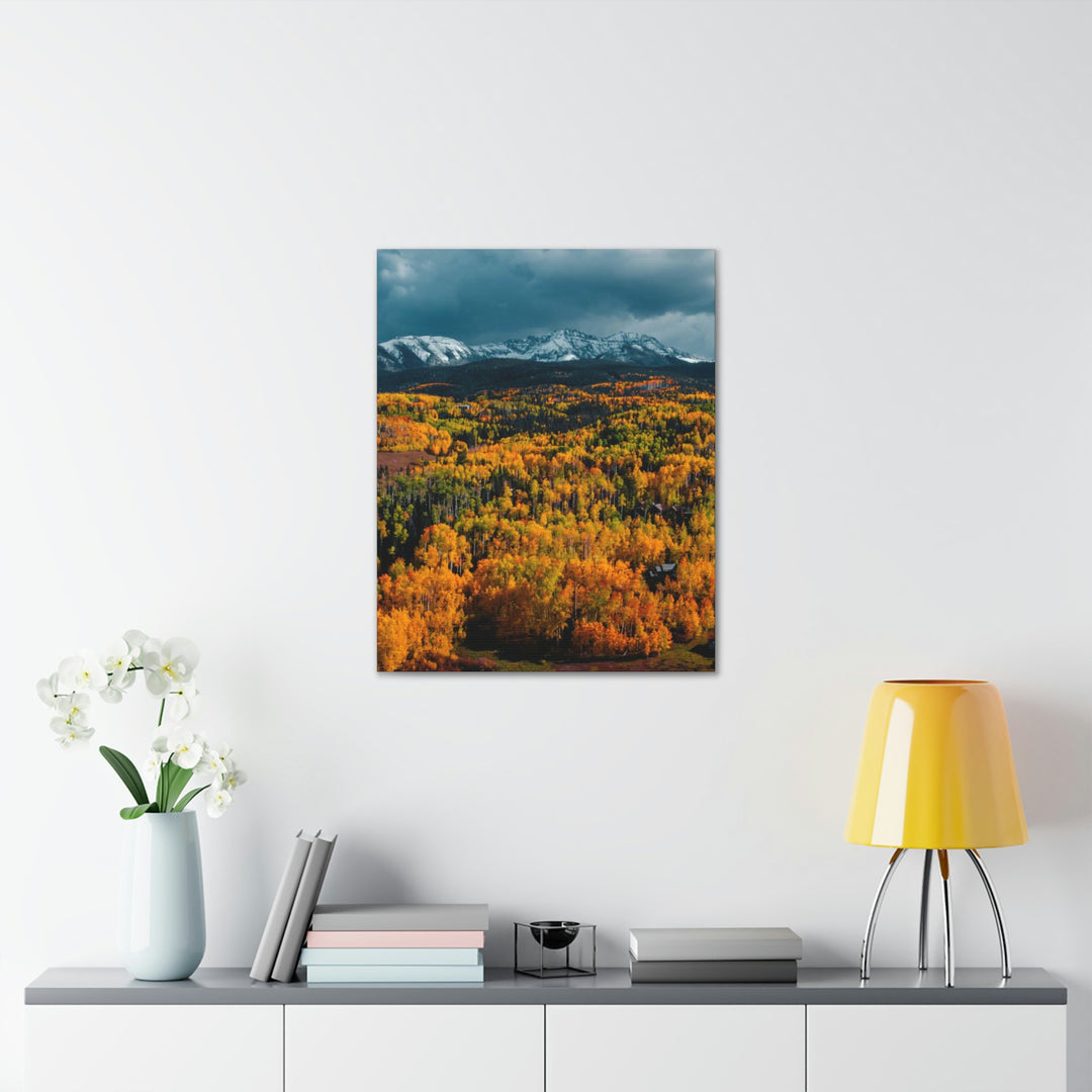 Golds of Autumn - Canvas