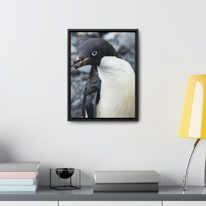 A Penguin's Pebble - Canvas with Frame