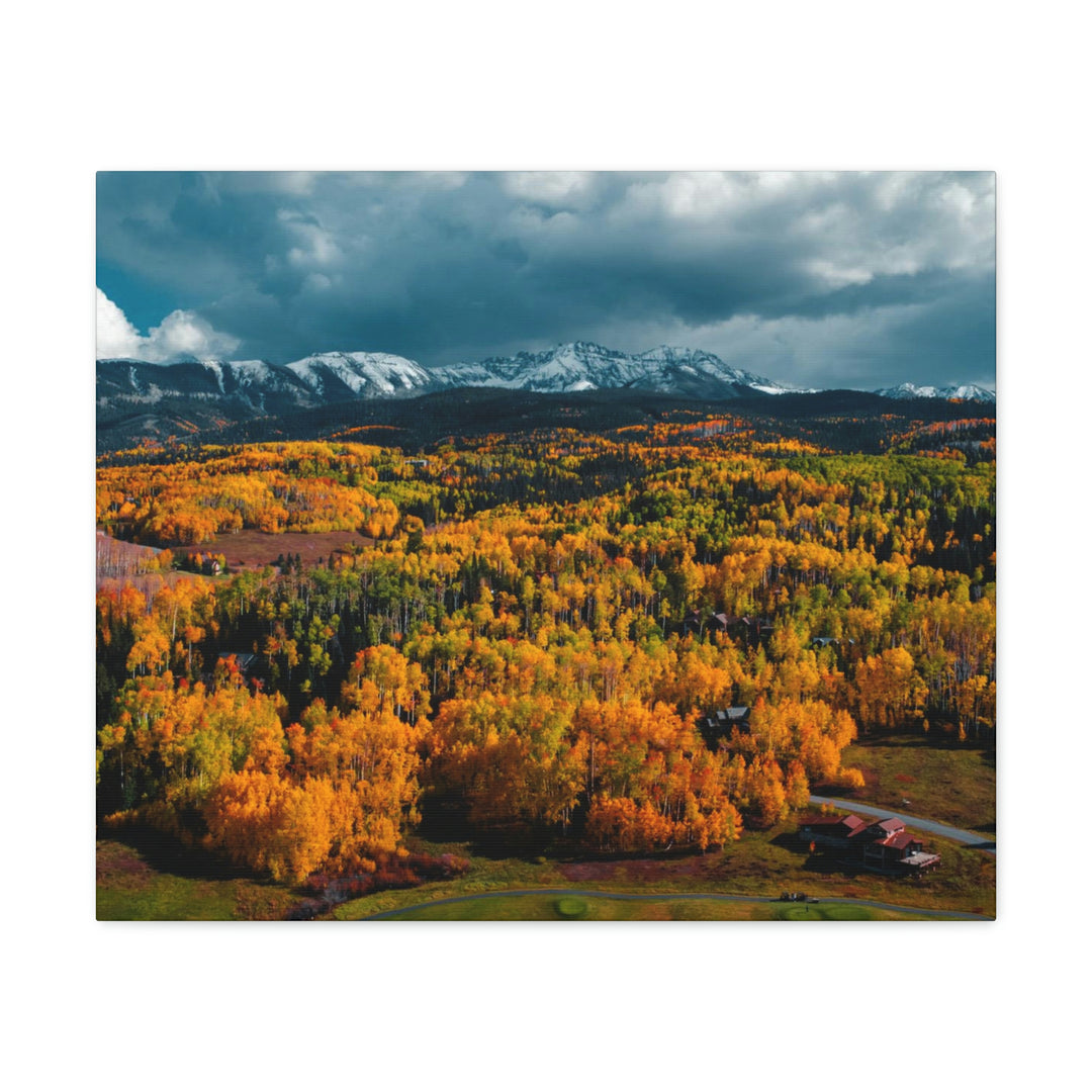 Golds of Autumn - Canvas