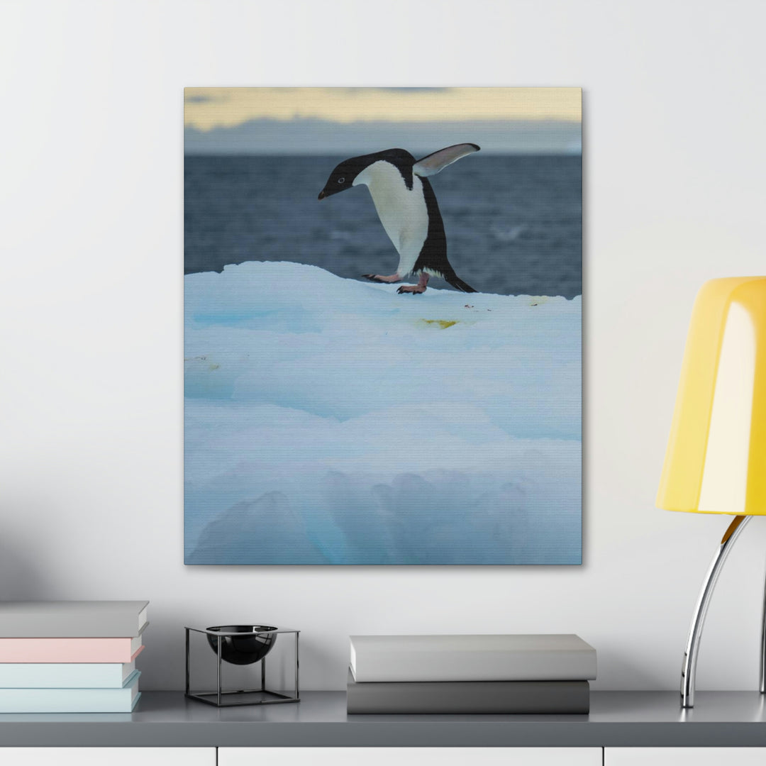 Penguin Dance - Canvas