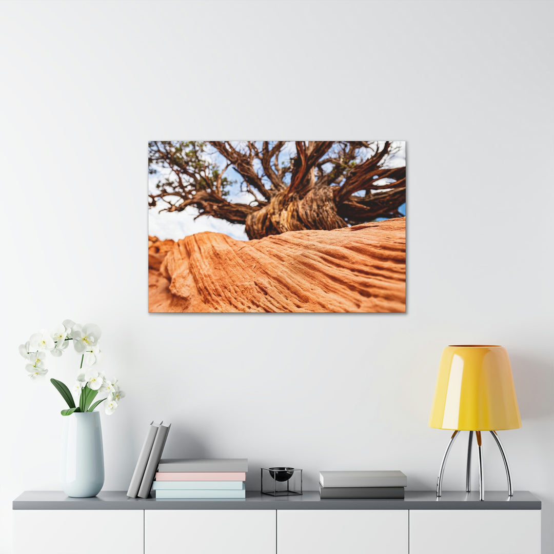 Desert Reach - Canvas