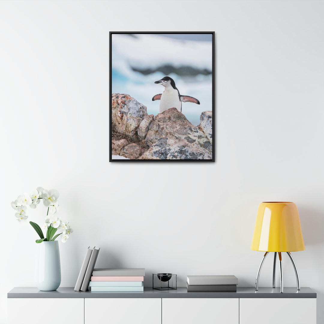 Stretched Penguin - Canvas with Frame