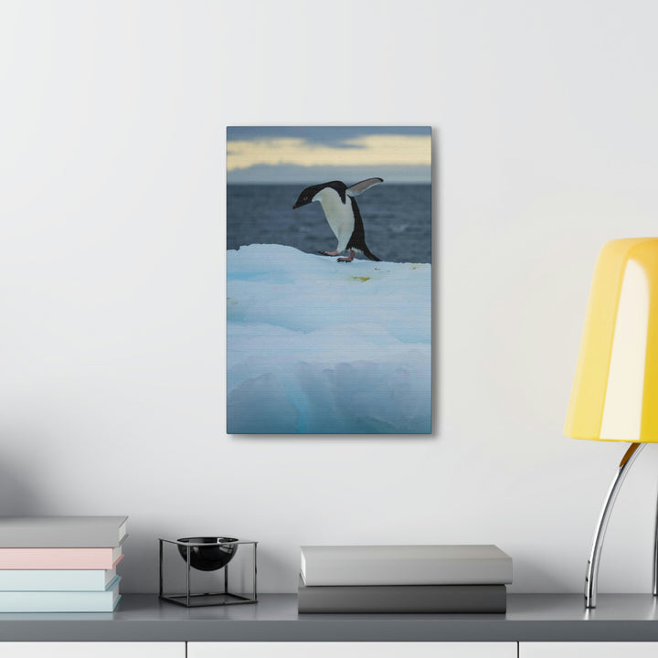 Penguin Dance - Canvas