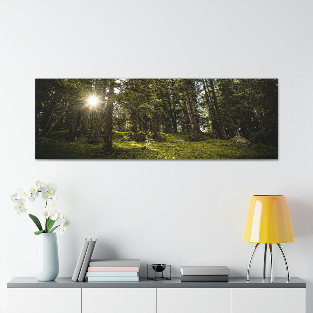 Forest Light - Canvas