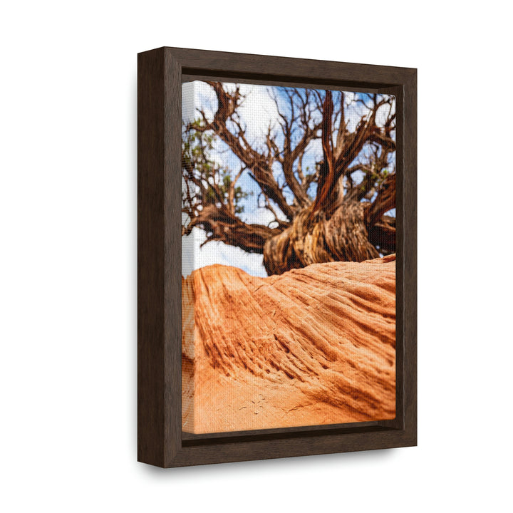 Desert Reach - Canvas with Frame