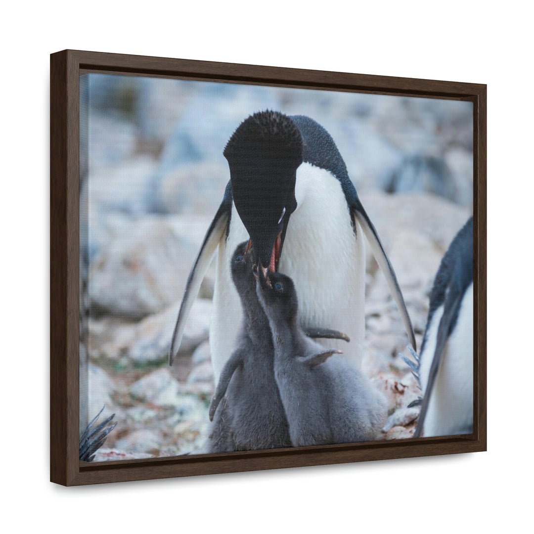 Feeding Time - Canvas with Frame