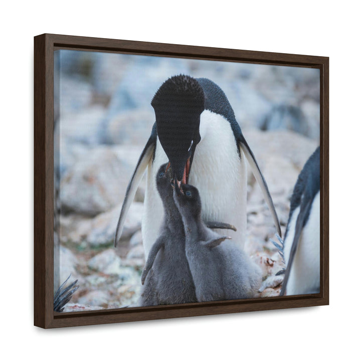 Feeding Time - Canvas with Frame