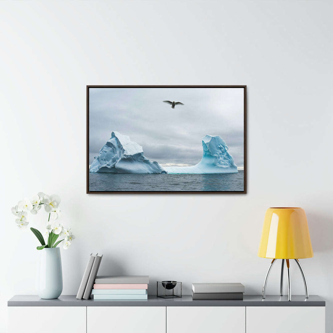 Antarctic Flight - Canvas with Frame