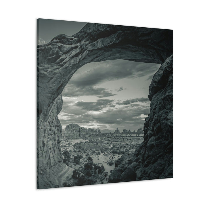 Natural Frames Part 2 in Black and White - Canvas