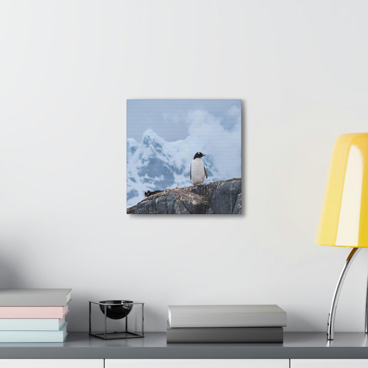 Poised Penguin - Canvas