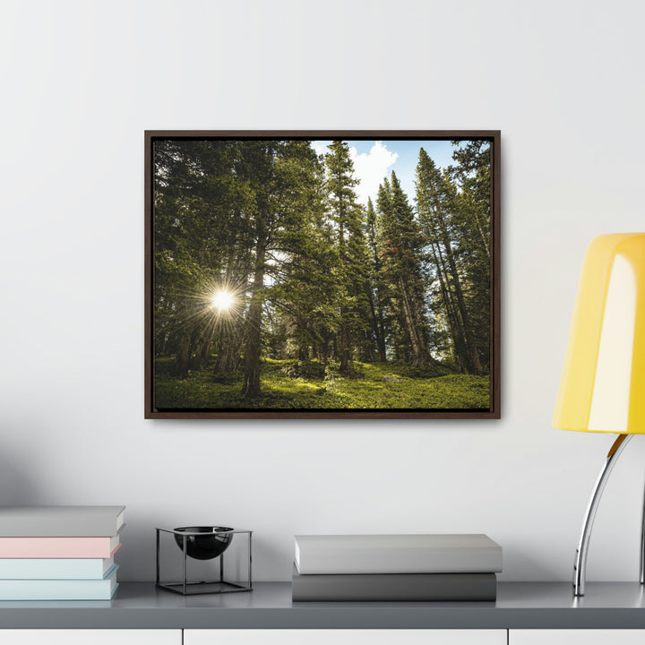 Forest Light - Canvas with Frame