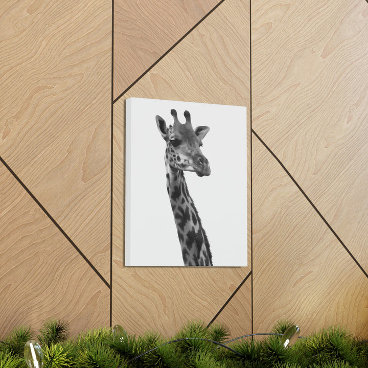 Giraffe Portrait in Black and White  - Canvas