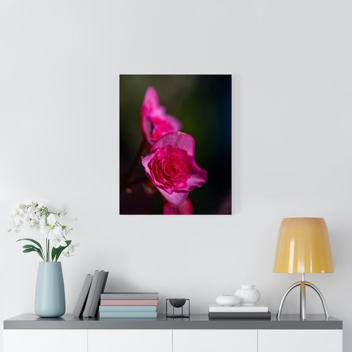 Hybrid Tea Lily - Canvas