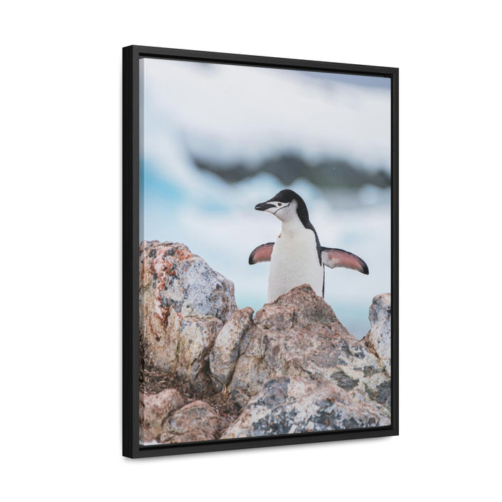 Stretched Penguin - Canvas with Frame