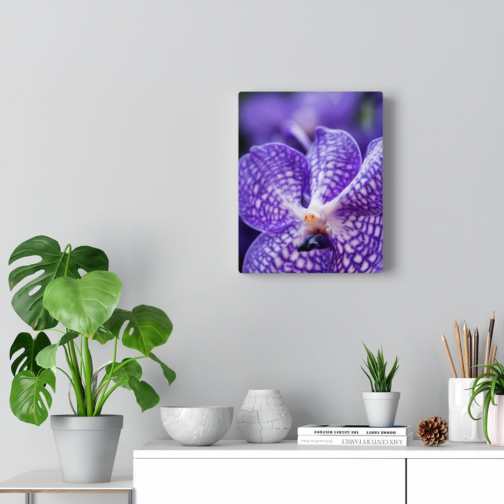 Orchid Detail - Canvas