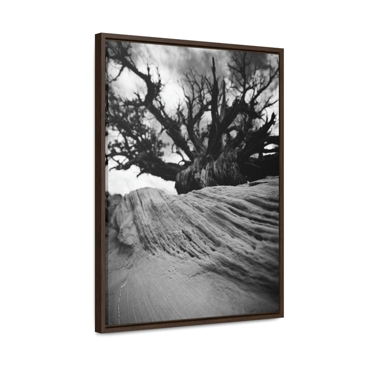 Desert Reach in Black and White - Canvas with Frame