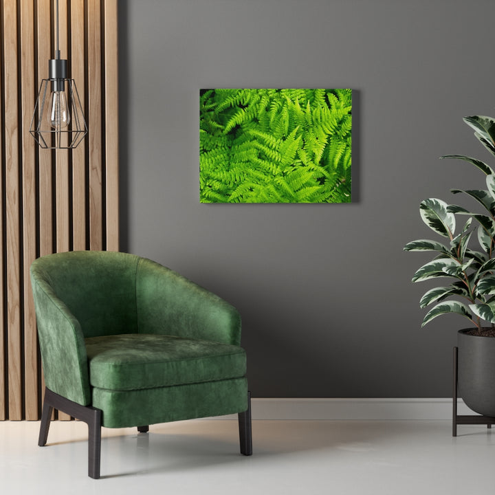 Ferns, Ferns, Ferns - Canvas