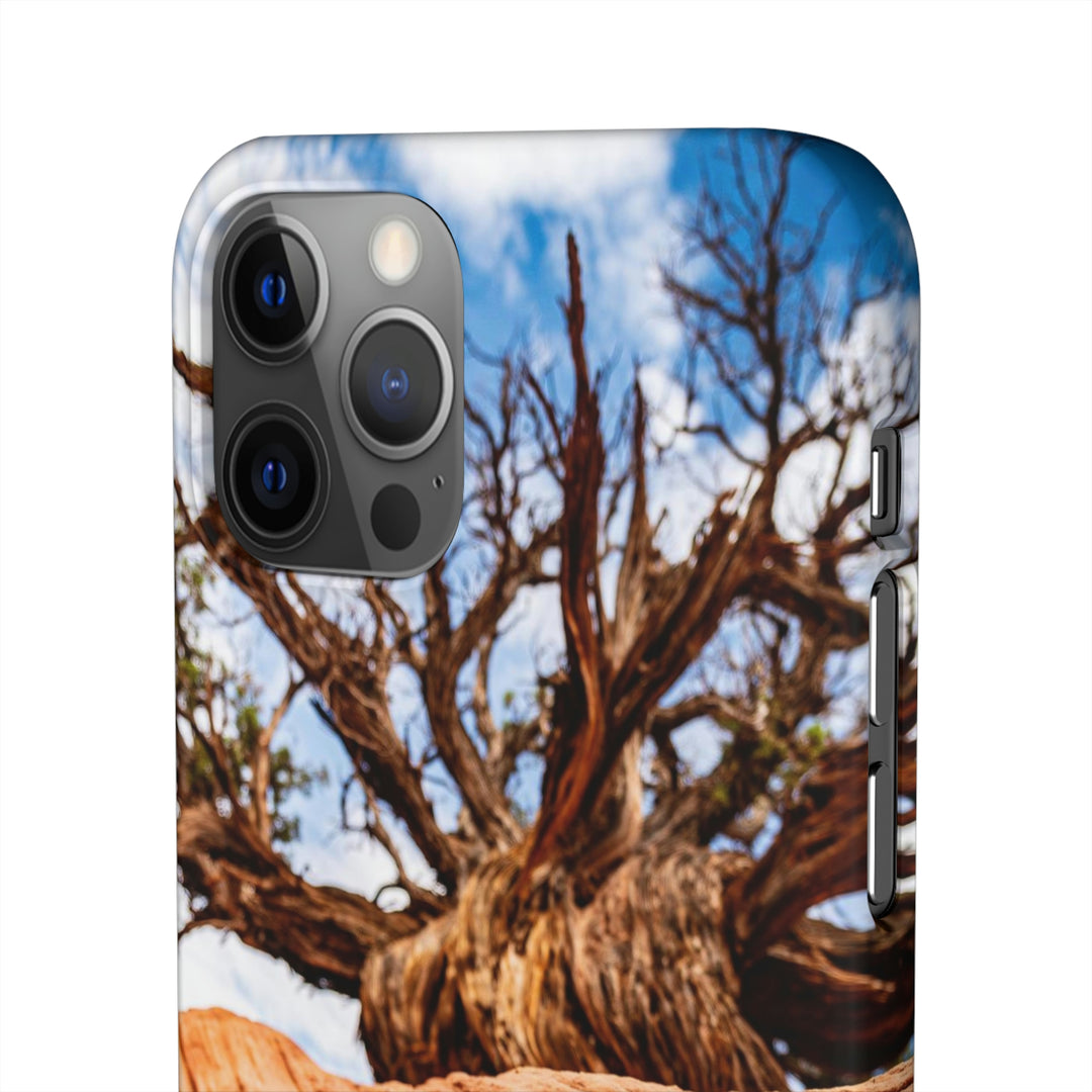 Desert Reach - Phone Case