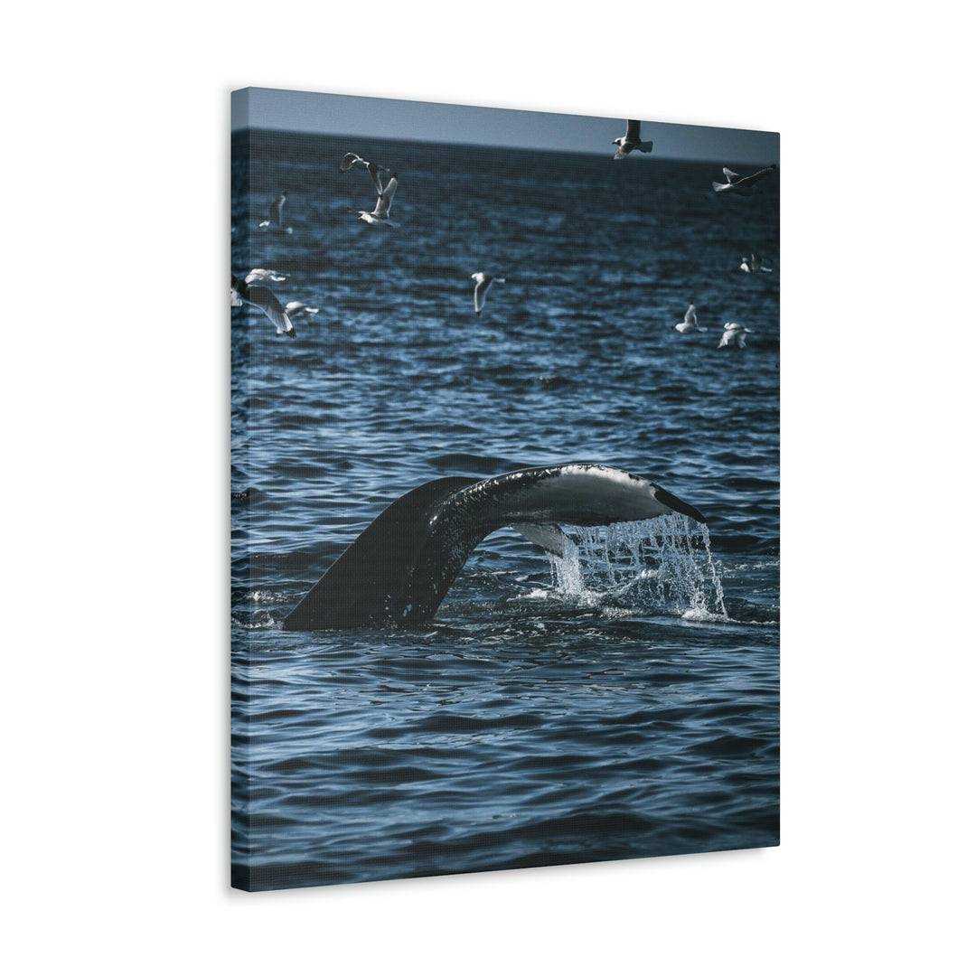 Feeding Tail - Canvas