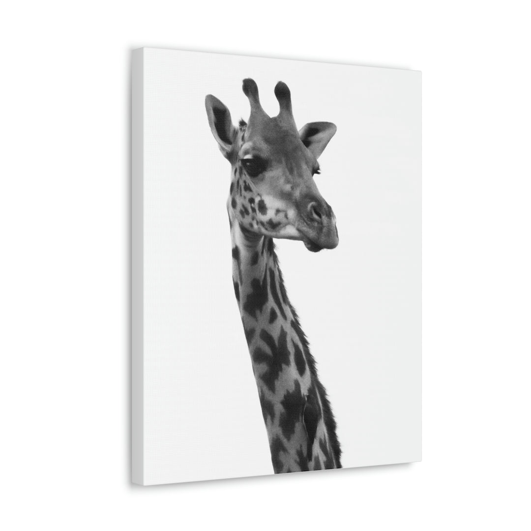 Giraffe Portrait in Black and White  - Canvas