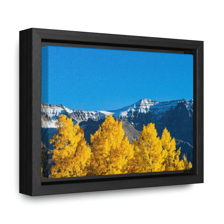 Golden Glow - Canvas with Frame