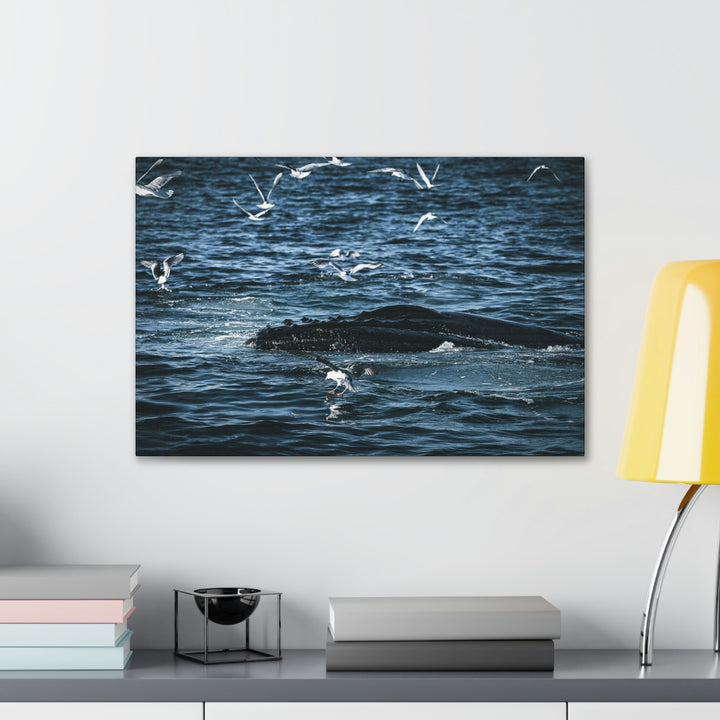 Humpback Hello - Canvas