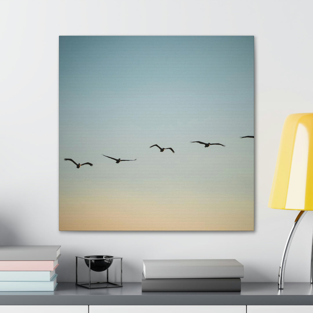 Brown Pelicans in Flight - Canvas