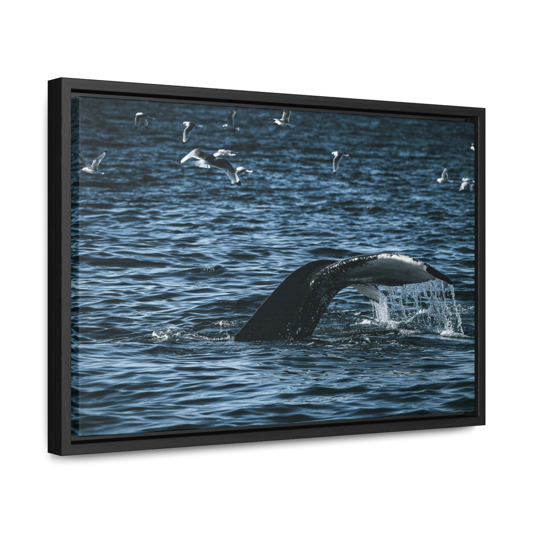 Feeding Tail - Canvas with Frame