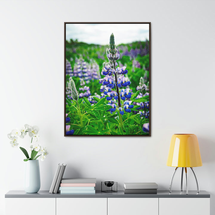 Glowing Lupin - Canvas with Frame