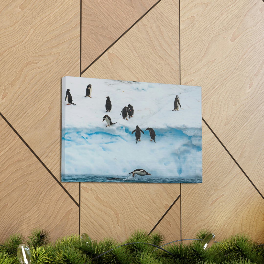 Porpoising Penguin - Canvas