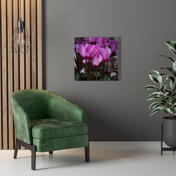 Cyclamen Reach - Canvas