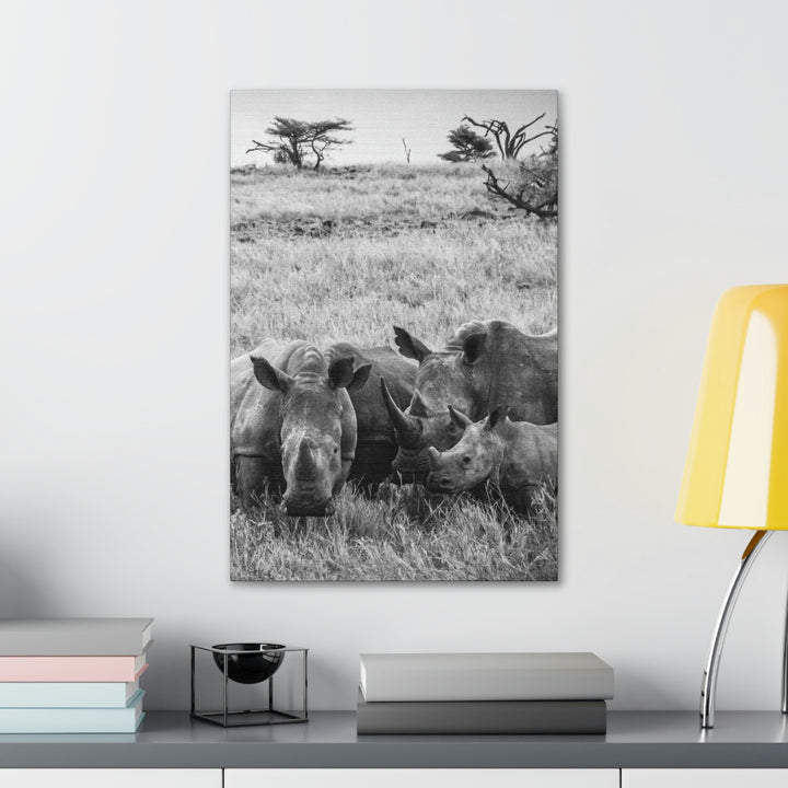 Rhino Family in Black and White - Canvas