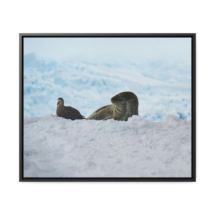 A Resting Pair - Canvas with Frame